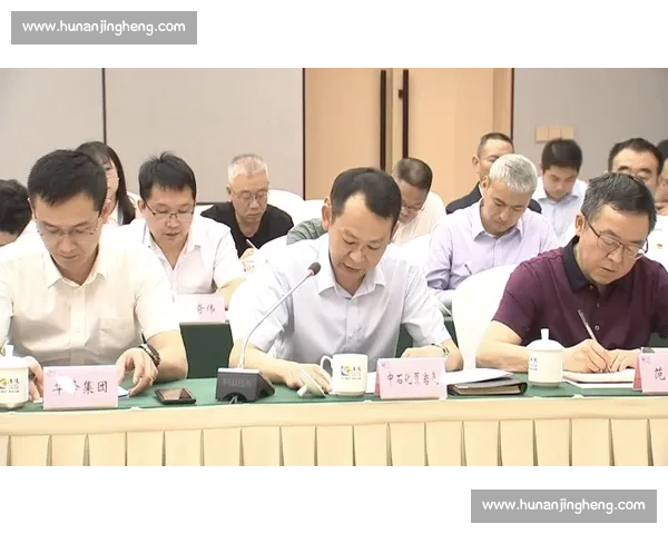 体育品牌推广创新策略与市场影响力提升路径分析与实践模式探索