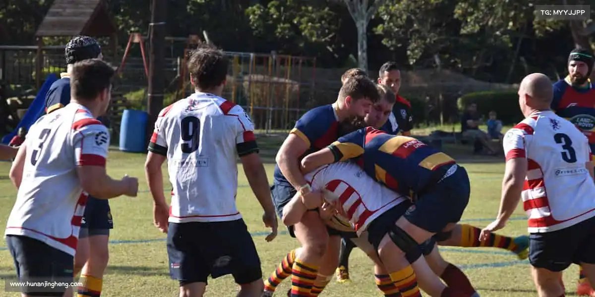 行业领先的理由